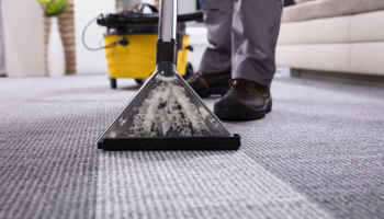 carpet cleaning in christchurch home